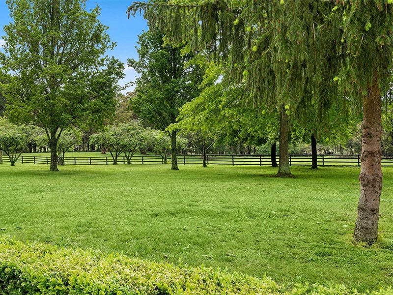 Bundanoon-paddock